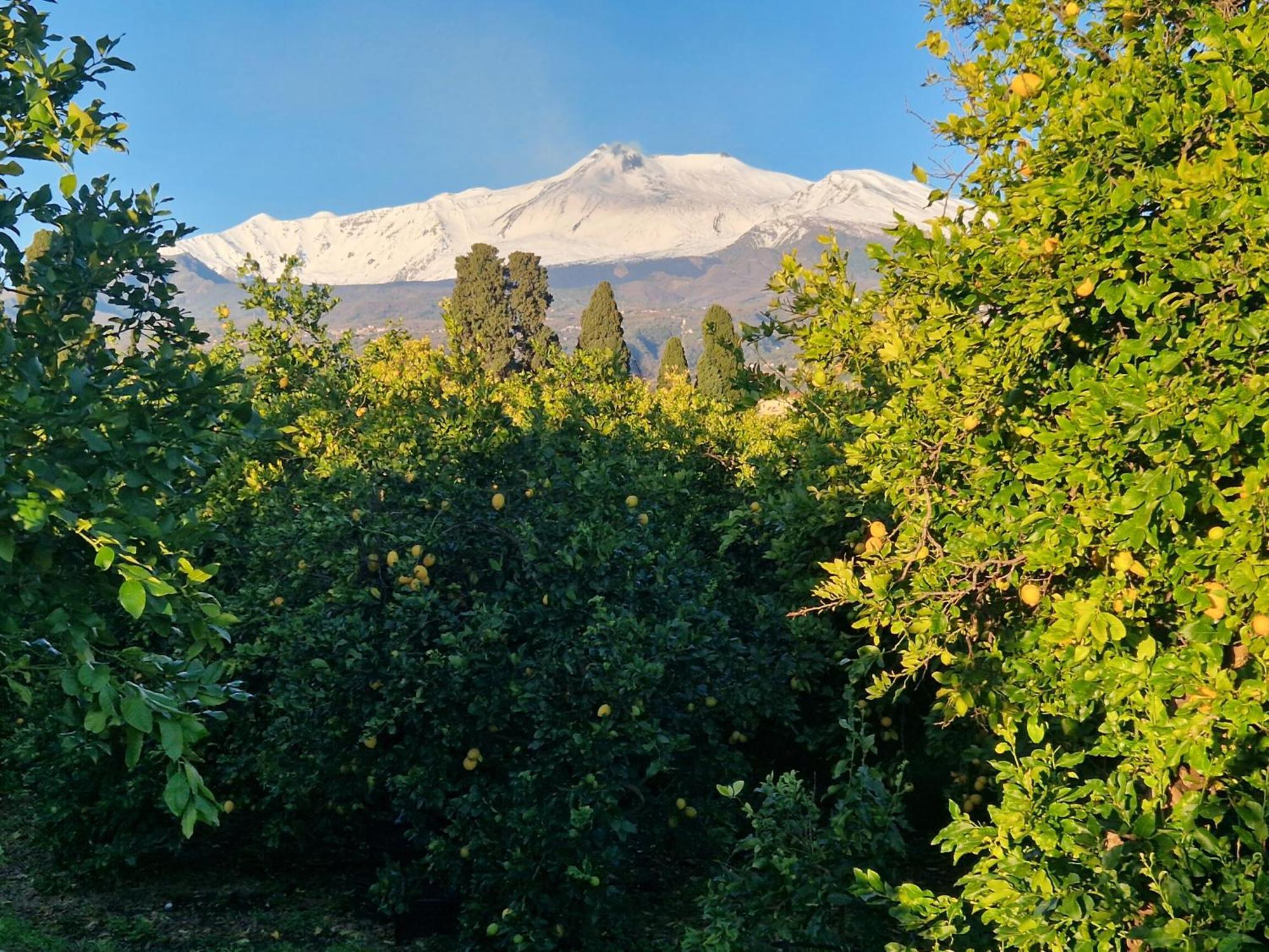 Lumia Villa Riposto Exteriör bild